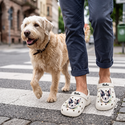 Persona con zuecos personalizados con motivo de perro en acuarela paseando con un perro.
