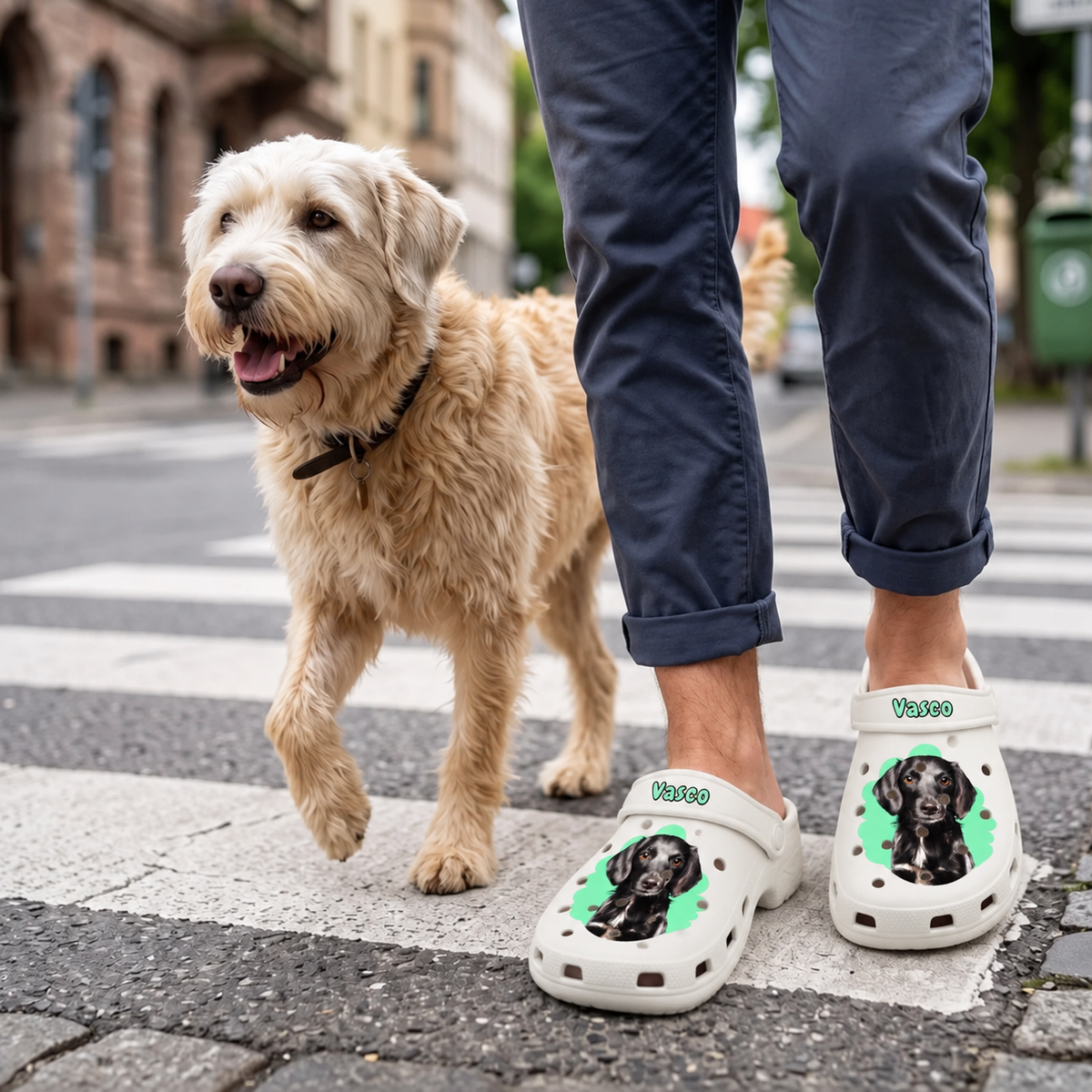 Zuecos blancos personalizados con retrato de mascota y fondo colorido, llevados por una persona con un perro.